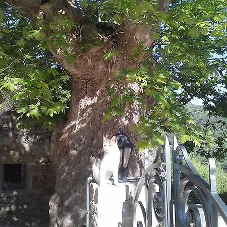 Traditional House Koukounara Kissamos