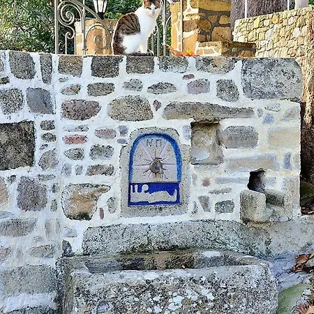 Traditional House Koukounara